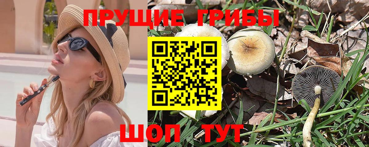 Псилоцибиновые грибы Psilocybine cubensis  Вход с VPN  Псилоцибиновые грибы Psilocybe  Фрязино 